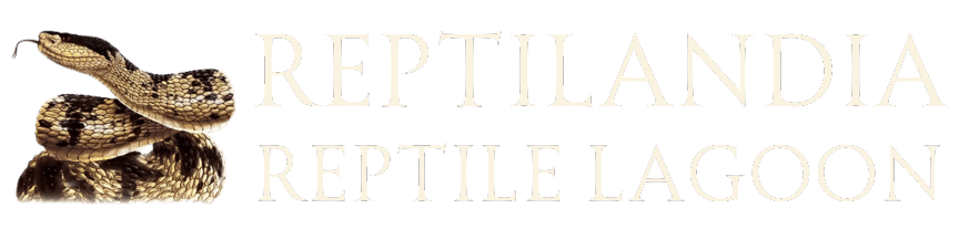 Reptilandia Logo
