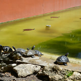 Review image 3