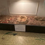 Review image 4