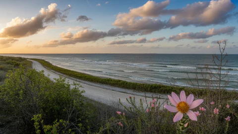 Florida