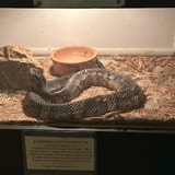 Review image 3