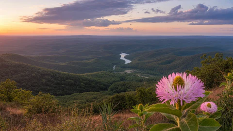North Carolina