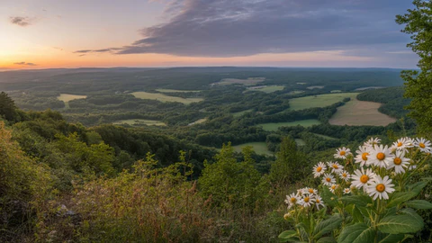 Tennessee