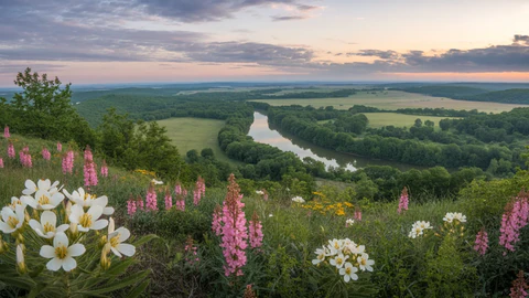 Arkansas